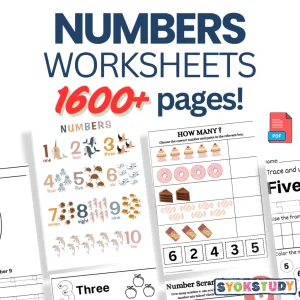 Numbers Worksheets / Busy Book | Children Learning Education | Preschool Kindergarten Tadika